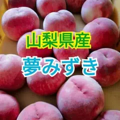 山梨県産　夢みずき　新鮮朝採り　根域制限栽培　2kg箱のサムネイル