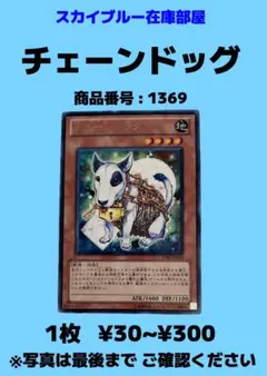 ガード・ドッグ