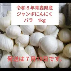 令和８年青森県産ジャンボにんにくバラ１kg 栽培期間中農薬不使用のサムネイル