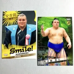 Item thumbnail for item b1460cd3-e64c-436b-9bb7-c3f32de7f2e3