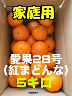 deitykikiさん専用