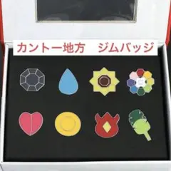 【新品】ポケモン　カントー地方　ジムバッジ　コンプリートセット　赤緑　初代