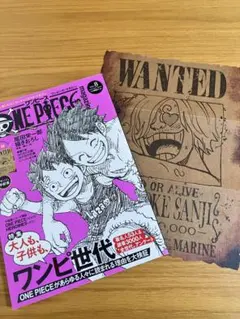 ONE PIECE magazine vol.8 付録付き　手配書付き