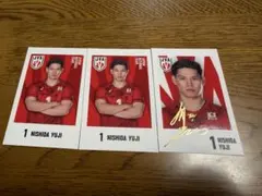 Item thumbnail for item 40d58643-1846-42ce-92ac-402103e08552