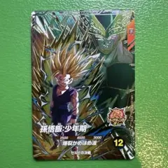 ダイバーズ　孫悟飯・少年期 PUR SDV6-VSPUR3