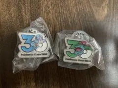 ポケモン 30周年　メタルチャーム 2点セット