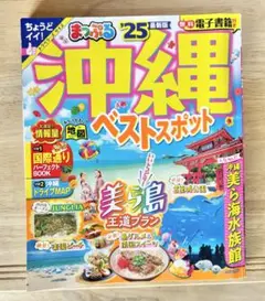 Item thumbnail for item 7c8d7638-f67a-4bdd-9b8e-42d9a7e16756