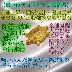 2026年最新】チョウピラコ様の人気アイテム - メルカリ