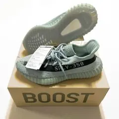 adidas YEEZY BOOST 350 Salt Core Black
