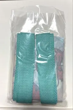 ディズニーストア　シークレットミニトート　プーさん　ミッキー　ミニー　プルート