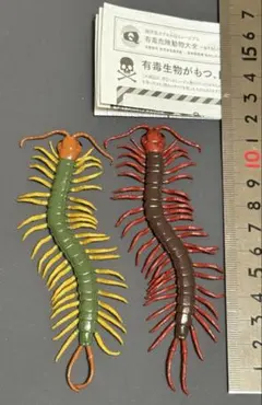 海洋堂　ムカデ　2種類のサムネイル