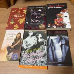 洋書 プラダを着た悪魔 ペーパーバック 10冊セット - メルカリ