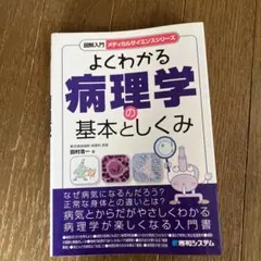 Item thumbnail for item 59041681-e87e-4baf-87b1-e5d851976e89