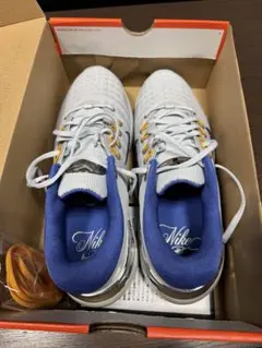 ナイキゴルフシューズ10.5インチ 28.5CM NIKE FREEGOLFのサムネイル