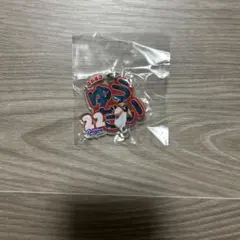 【匿名配送】中日ドラゴンズ 大野雄大 22 アクリルキーホルダー