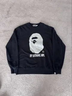 希少 APE キッズ kids カレッジロゴ スウェットトレーナー 120 希少 APE キッズ kids カレッジロゴ スウェットトレーナー 120 - メルカリ