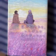 夜が明けたら、いちばんに君に会いに行く 汐見夏衛 本 小説