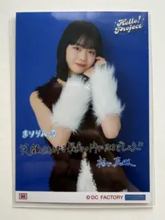 Item thumbnail for item 1d625751-1e82-484b-afa3-83d8a28ed47a