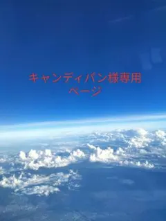 キャンディパン様専用ページ