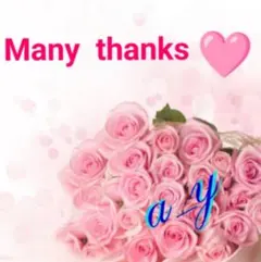 【状態良好】ブルーレーベルクレストブリッジ☆ヴィンテージプリントプルオーバー