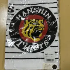 Item thumbnail for item 6db518b8-f17a-41b8-bbd9-bdbdf0b638a3