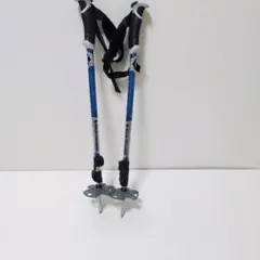 2026年最新】スキーポール ブラックダイヤモンドの人気アイテム - メルカリ