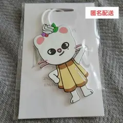 ジニレット アイドル