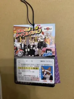 Item thumbnail for item 78a0174b-081c-4e2d-aeaf-30f632ead6df