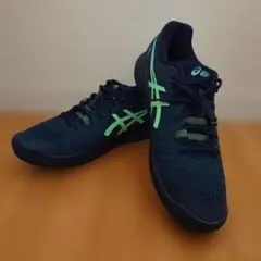 イッチー様ASICS GEL-RESOLUTION 9 テニスシューズ28cm