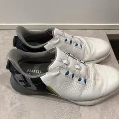 フットジョイ シューズ