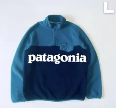 【最終価格】Patagonia 2017年 シンチラスナップT ニカラグア製 L