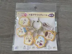 ちいかわ もぐもぐ本舗 川越店限定 6連アクリルチャーム (おいも)