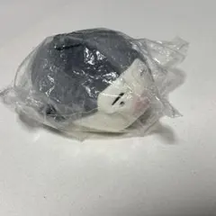 Item thumbnail for item 0a8b759a-1849-4c2e-8904-d92c17c2a540