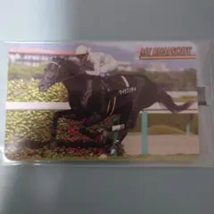 まねき馬　2201　マイラプソディ　武豊