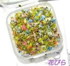 ～彩夜～Saiya～様 リクエスト 2点 まとめ商品