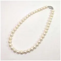 Item thumbnail for item d4fcfe5a-da6b-4e7f-a3ce-1c2cc04e90d9