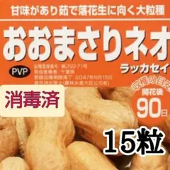 PVP＆消毒済種子【15粒】落花生『おおまさりネオ』コンパクトに栽培