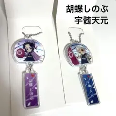 非売品❗️ イオン　鬼滅の刃　コラボ　抽選　アクリルキーホルダー　2点