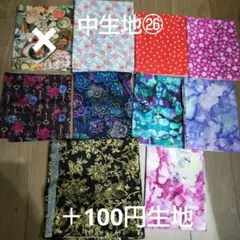 中生地㉖