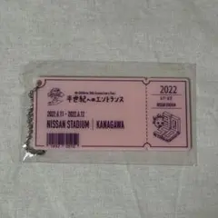 Mr.Children半世紀へのエントランス　キーホルダー 日産スタジアム