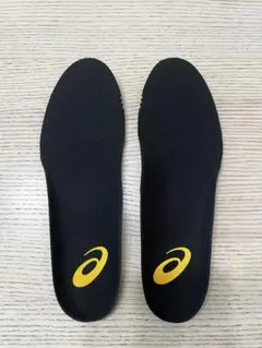 アシックス バスケットボール