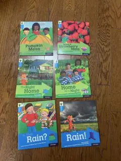 ぽにこふ様 リクエスト 2点 まとめ商品