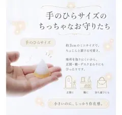 交換不要 盛り塩