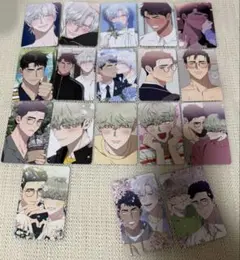 韓国 BL LEZHIN コレクションカード トレカ 解氷曲線 해빙곡선 12枚