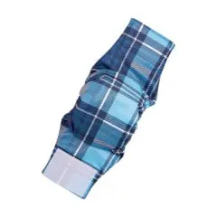 Item thumbnail for item 2b29591d-26d9-4d2a-899e-6bc65848daf5