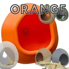 2026年最新】爬虫類ケージ 120の人気アイテム - メルカリ