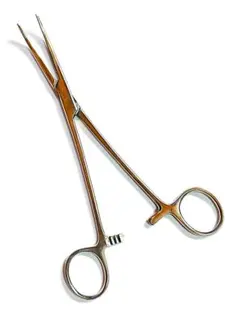 Item thumbnail for item f885f79f-8d60-4f3d-97a9-f06a9fd98e11