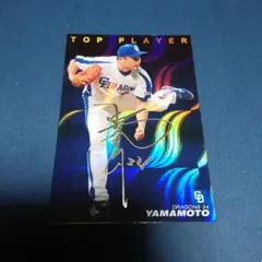 プロ野球チップスカード スポーツ選手