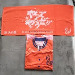 アルビレックス新潟