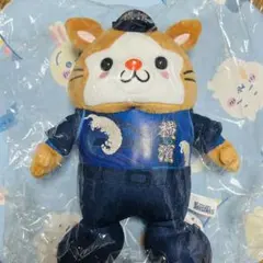 Item thumbnail for item 2d3c2f44-986e-4448-9004-d17630f1c87e